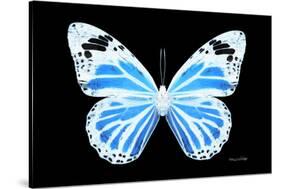 Miss Butterfly Genutia - X-Ray Black Edition-Philippe Hugonnard-Stretched Canvas