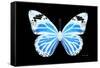 Miss Butterfly Genutia - X-Ray Black Edition-Philippe Hugonnard-Framed Stretched Canvas