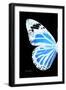 Miss Butterfly Genutia - X-Ray Left Black Edition-Philippe Hugonnard-Framed Photographic Print