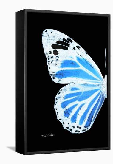 Miss Butterfly Genutia - X-Ray Left Black Edition-Philippe Hugonnard-Framed Stretched Canvas