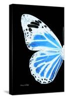 Miss Butterfly Genutia - X-Ray Left Black Edition-Philippe Hugonnard-Stretched Canvas