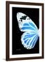 Miss Butterfly Genutia - X-Ray Left Black Edition-Philippe Hugonnard-Framed Photographic Print