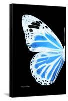 Miss Butterfly Genutia - X-Ray Left Black Edition-Philippe Hugonnard-Framed Stretched Canvas