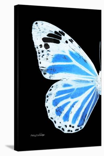 Miss Butterfly Genutia - X-Ray Left Black Edition-Philippe Hugonnard-Stretched Canvas
