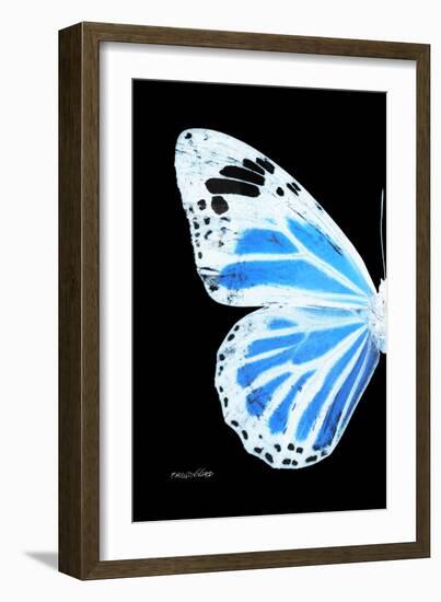 Miss Butterfly Genutia - X-Ray Left Black Edition-Philippe Hugonnard-Framed Photographic Print