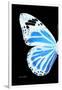 Miss Butterfly Genutia - X-Ray Left Black Edition-Philippe Hugonnard-Framed Photographic Print