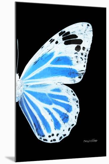 Miss Butterfly Genutia - X-Ray Right Black Edition-Philippe Hugonnard-Mounted Premium Photographic Print