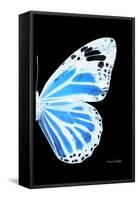 Miss Butterfly Genutia - X-Ray Right Black Edition-Philippe Hugonnard-Framed Stretched Canvas