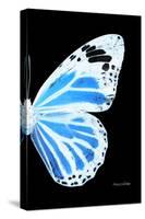 Miss Butterfly Genutia - X-Ray Right Black Edition-Philippe Hugonnard-Stretched Canvas