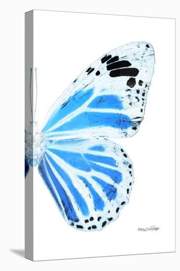 Miss Butterfly Genutia - X-Ray Right White Edition-Philippe Hugonnard-Stretched Canvas