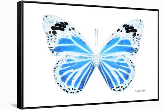 Miss Butterfly Genutia - X-Ray White Edition-Philippe Hugonnard-Framed Stretched Canvas