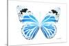 Miss Butterfly Genutia - X-Ray White Edition-Philippe Hugonnard-Stretched Canvas