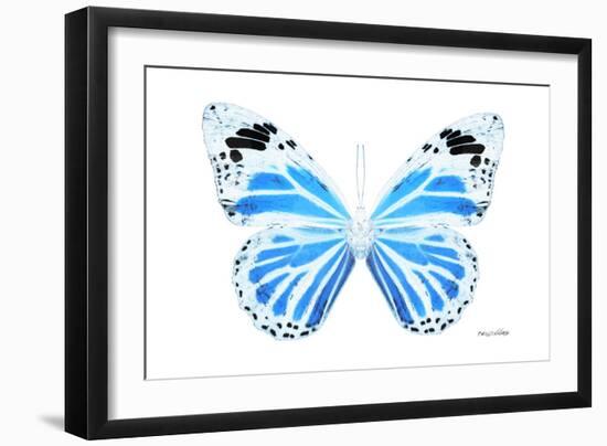 Miss Butterfly Genutia - X-Ray White Edition-Philippe Hugonnard-Framed Photographic Print