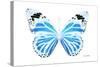Miss Butterfly Genutia - X-Ray White Edition-Philippe Hugonnard-Stretched Canvas