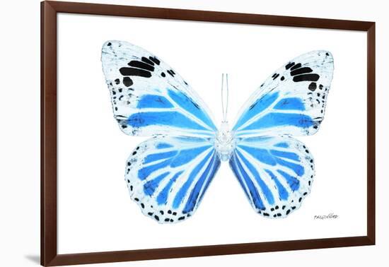 Miss Butterfly Genutia - X-Ray White Edition-Philippe Hugonnard-Framed Photographic Print