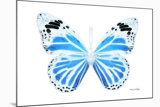 Miss Butterfly Genutia - X-Ray White Edition-Philippe Hugonnard-Mounted Photographic Print