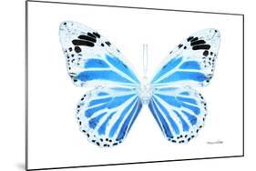 Miss Butterfly Genutia - X-Ray White Edition-Philippe Hugonnard-Mounted Photographic Print