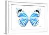 Miss Butterfly Genutia - X-Ray White Edition-Philippe Hugonnard-Framed Photographic Print