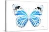 Miss Butterfly Genutia - X-Ray White Edition-Philippe Hugonnard-Stretched Canvas