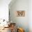 Miss Butterfly Graphium - Orange-Philippe Hugonnard-Mounted Photographic Print displayed on a wall