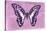 Miss Butterfly Graphium - Pink-Philippe Hugonnard-Stretched Canvas