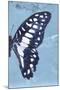 Miss Butterfly Graphium Profil - Blue-Philippe Hugonnard-Mounted Premium Photographic Print