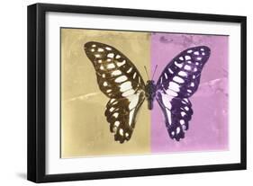 Miss Butterfly Graphium Profil - Honey & Pink-Philippe Hugonnard-Framed Photographic Print