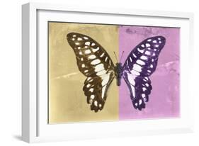 Miss Butterfly Graphium Profil - Honey & Pink-Philippe Hugonnard-Framed Photographic Print