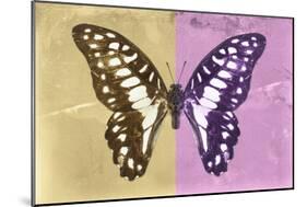 Miss Butterfly Graphium Profil - Honey & Pink-Philippe Hugonnard-Mounted Photographic Print