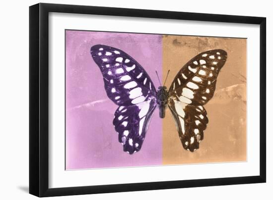 Miss Butterfly Graphium Profil - Pink & Orange-Philippe Hugonnard-Framed Photographic Print