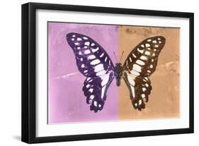 Miss Butterfly Graphium Profil - Pink & Orange-Philippe Hugonnard-Framed Photographic Print