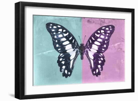 Miss Butterfly Graphium Profil - Turquoise & Pink-Philippe Hugonnard-Framed Photographic Print