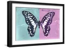 Miss Butterfly Graphium Profil - Turquoise & Pink-Philippe Hugonnard-Framed Photographic Print