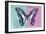 Miss Butterfly Graphium Profil - Turquoise & Pink-Philippe Hugonnard-Framed Photographic Print