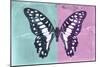 Miss Butterfly Graphium Profil - Turquoise & Pink-Philippe Hugonnard-Mounted Photographic Print