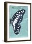 Miss Butterfly Graphium Profil - Turquoise-Philippe Hugonnard-Framed Photographic Print