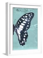 Miss Butterfly Graphium Profil - Turquoise-Philippe Hugonnard-Framed Photographic Print