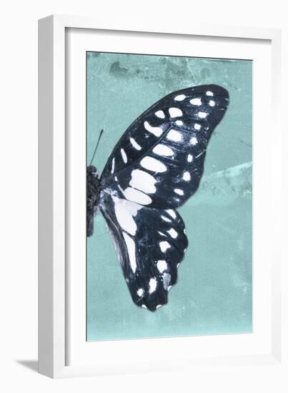 Miss Butterfly Graphium Profil - Turquoise-Philippe Hugonnard-Framed Photographic Print
