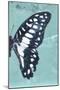 Miss Butterfly Graphium Profil - Turquoise-Philippe Hugonnard-Mounted Photographic Print