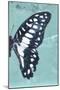 Miss Butterfly Graphium Profil - Turquoise-Philippe Hugonnard-Mounted Premium Photographic Print