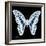 Miss Butterfly Graphium Sq - X-Ray Black Edition-Philippe Hugonnard-Framed Photographic Print