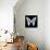 Miss Butterfly Graphium Sq - X-Ray Black Edition-Philippe Hugonnard-Framed Stretched Canvas displayed on a wall