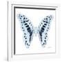 Miss Butterfly Graphium Sq - X-Ray White Edition-Philippe Hugonnard-Framed Photographic Print