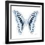 Miss Butterfly Graphium Sq - X-Ray White Edition-Philippe Hugonnard-Framed Photographic Print