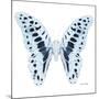 Miss Butterfly Graphium Sq - X-Ray White Edition-Philippe Hugonnard-Mounted Photographic Print