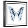 Miss Butterfly Graphium Sq - X-Ray White Edition-Philippe Hugonnard-Framed Photographic Print