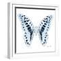 Miss Butterfly Graphium Sq - X-Ray White Edition-Philippe Hugonnard-Framed Photographic Print