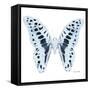 Miss Butterfly Graphium Sq - X-Ray White Edition-Philippe Hugonnard-Framed Stretched Canvas