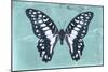 Miss Butterfly Graphium - Turquoise-Philippe Hugonnard-Mounted Photographic Print