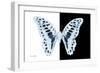 Miss Butterfly Graphium - X-Ray B&W Edition-Philippe Hugonnard-Framed Photographic Print